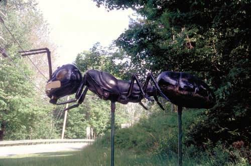 Bandaged Ant Statue
