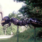 Bandaged Ant Statue