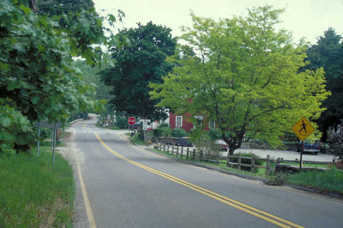 Leafy Lanes on SR-169