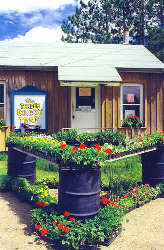 The Tender Tourist Trap in Marcell, Minnesota