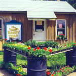 The Tender Tourist Trap in Marcell, Minnesota
