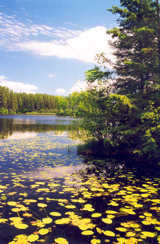 Serene and Scenic Pughole Lake