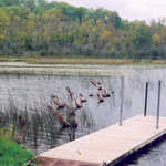 A Dock on the Edge of the Wilderness Scenic Byway
