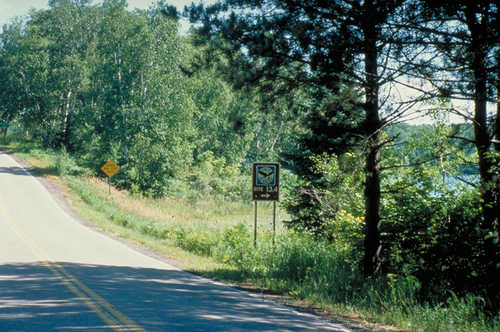 Roadside Byway Sign on Edge of the Wilderness