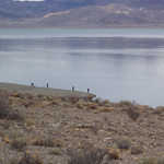 Fishing from the Banks of Pyramid Lake, Nevada