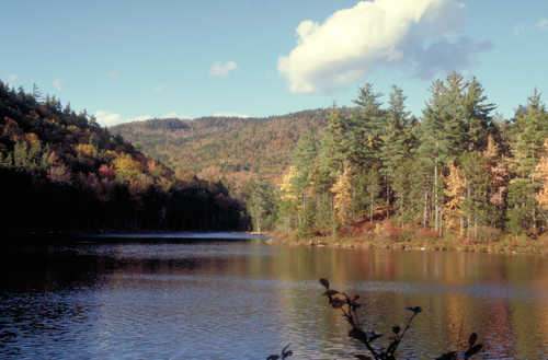 Falls Pond at Rocky Gorge