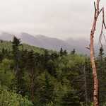 Foggy Morning on the Kancamagus Highway