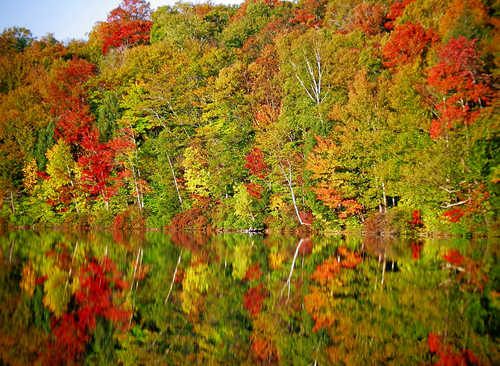 Reflections of Fall in Campton Pond