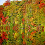 Reflections of Fall in Campton Pond