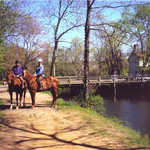 Horseback Riding Along the Towpath of the Delaware and Raritan Canal