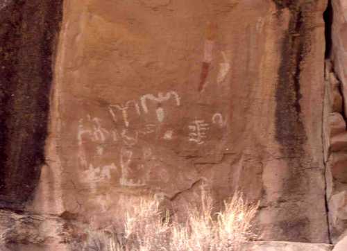 Rock Art in Canyon Pintado