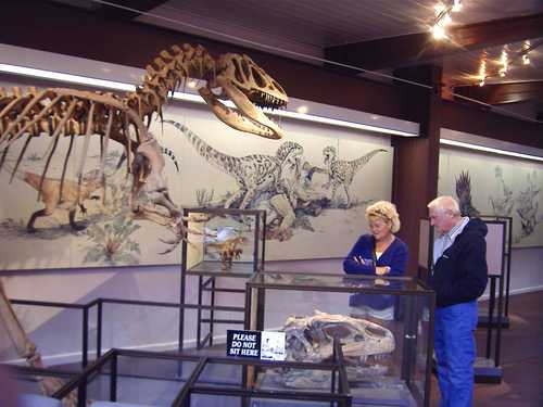 Visitors at Dinosaur National Monument