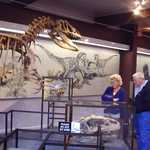 Visitors at Dinosaur National Monument