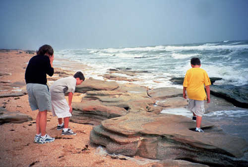 Exploring Beach Tidal Pools Among the Coquina Rock Outcroppings