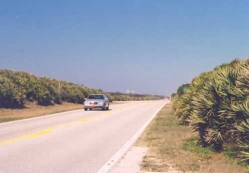 The Shrubbery of A1A