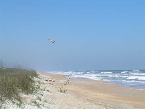 Lonely Kite at Guana Beach State Park