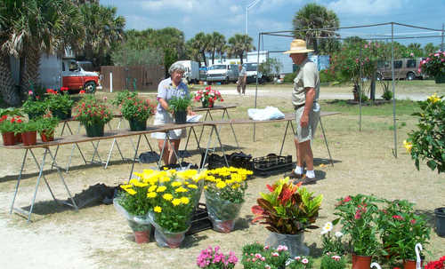 Open Air Flower Market