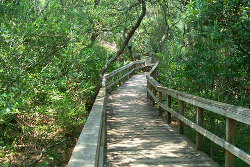 Walkway Along Fort Matanzas Trail