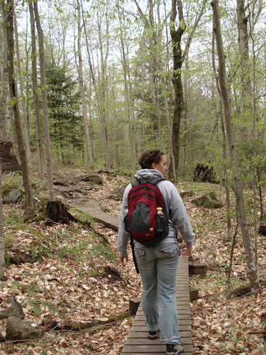 Hiker on the Mount Goodnow Trail
