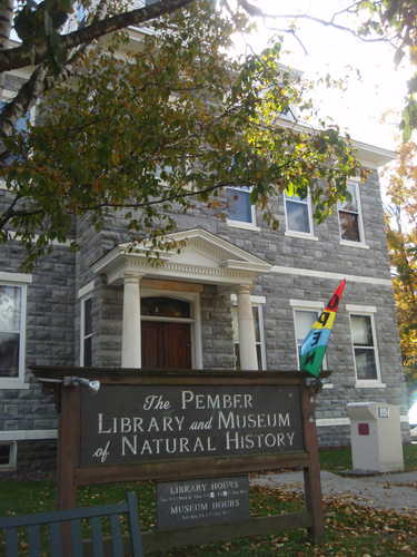 The Pember Library and Museum of Natural History 
