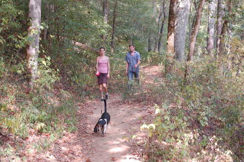 Hiking the Sheltowee Trail in Red River Gorge Geological Area