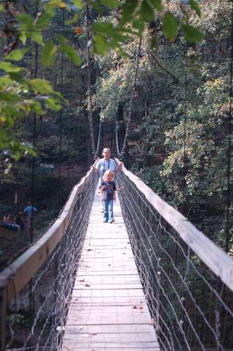 Suspension Bridge on the Sheltowee Trail