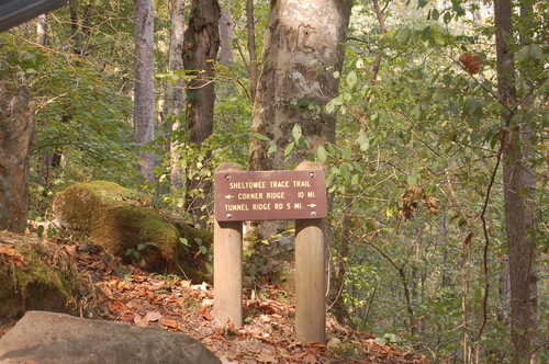 Sheltowee Trace Trail Sign in Daniel Boone National Forest