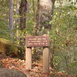 Sheltowee Trace Trail Sign in Daniel Boone National Forest