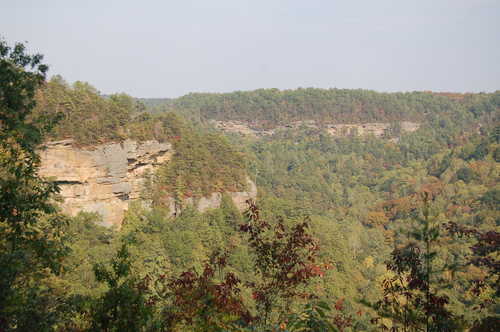 Cliffs of the Red River Gorge