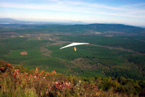 Hang Gliding Off Panorama Vista