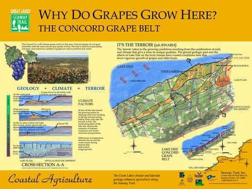 Interpretive Grape Sign on the Great Lakes Seaway Trail