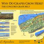 Interpretive Grape Sign on the Great Lakes Seaway Trail