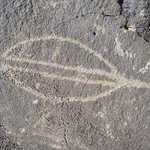 Elliptical Design at Petroglyph National Monument