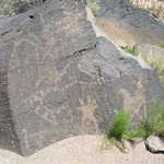 Plethora of Petroglyphs at Petroglyph National Monument