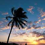 Sunrise from the Florida Keys Overseas Heritage Trail