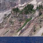 Trees Clinging to Crater Lake Caldera