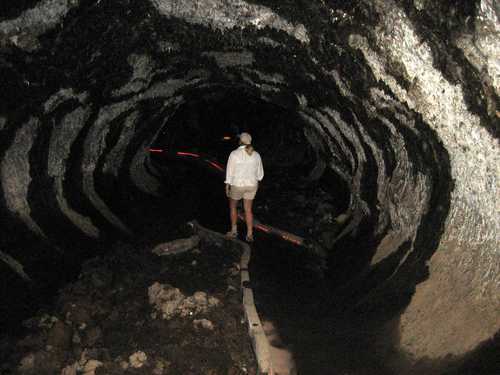 A Tourist in Mushpot Cave