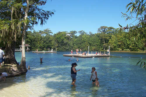 Tourists in the Water at Wakulla Springs