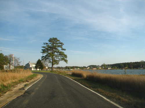 A Road along St. George