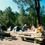 Rose Canyon Campground