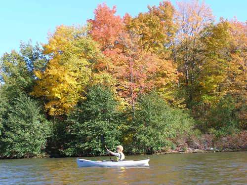 Canoeing on a Colorful Day