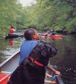 Brandywine River Canoeing, Kayaking, and Tubing