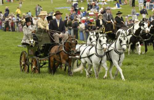 Point-to-Point Antique Carriage Parade