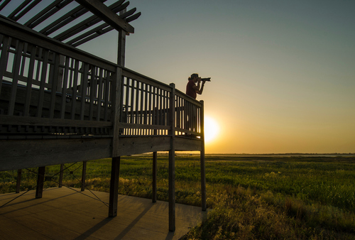 Overlook at Quivira National Wildlife Refuge in Kansas.