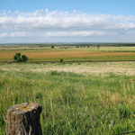 Pasture near Wetlands and Wildlife National Scenic Byway in Kansas.