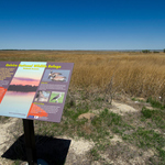 Interpretive sign at Quivira National Wildlife Refuge in Kansas.