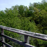 View from the Observation Tower in Magee Marsh