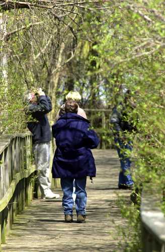 Birders at Magee Trail