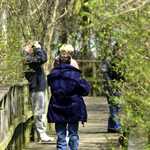 Birders at Magee Trail