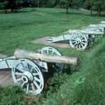 A Line of Cannons at Yorktown Battlefield